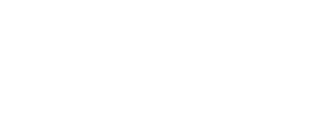 Edcon Inc.