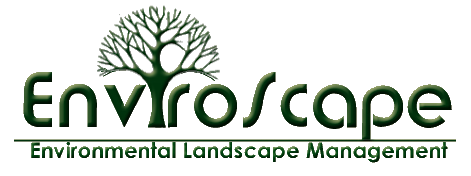 Enviroscape