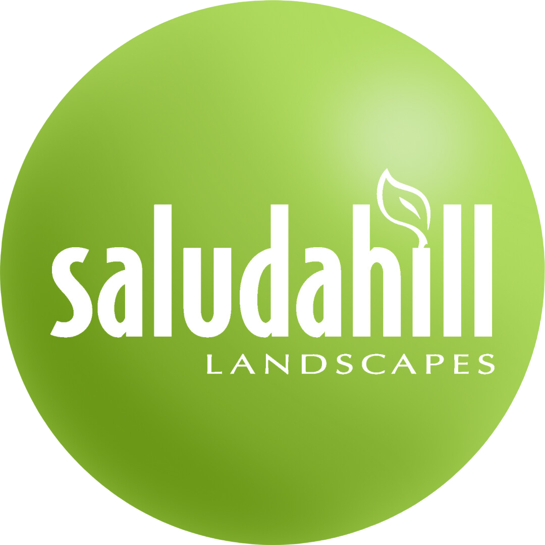 Saluda Hill Inc