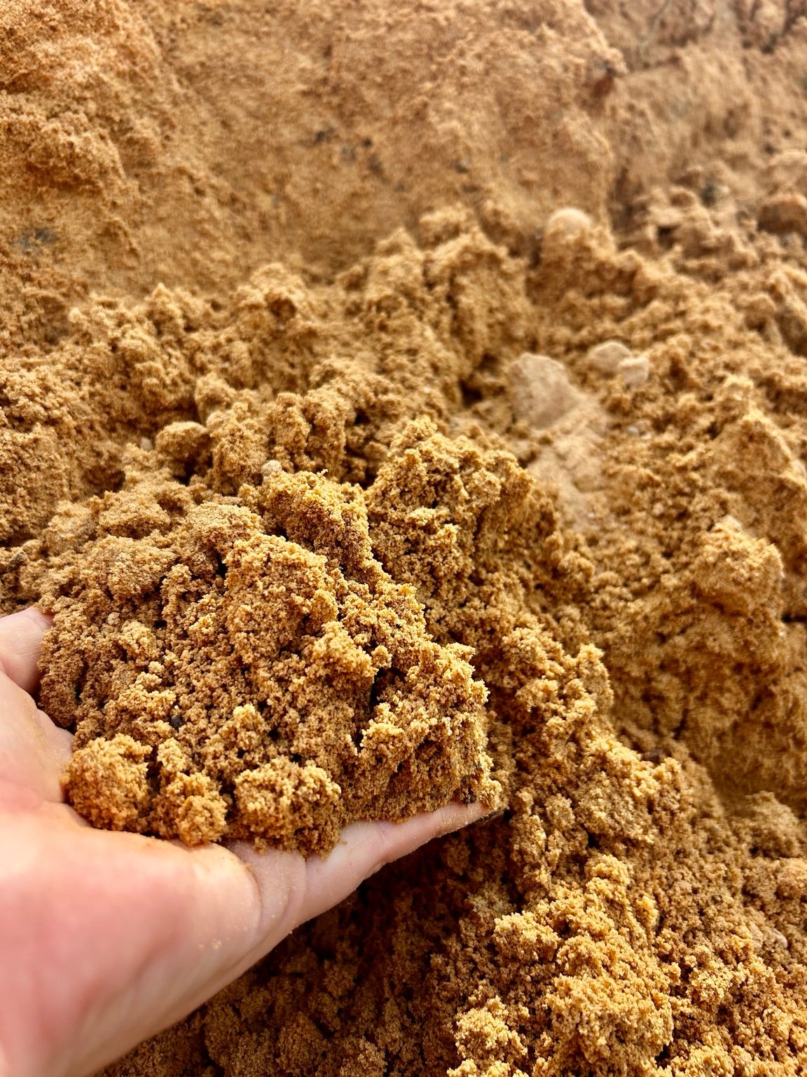 Sandy Fill Dirt material