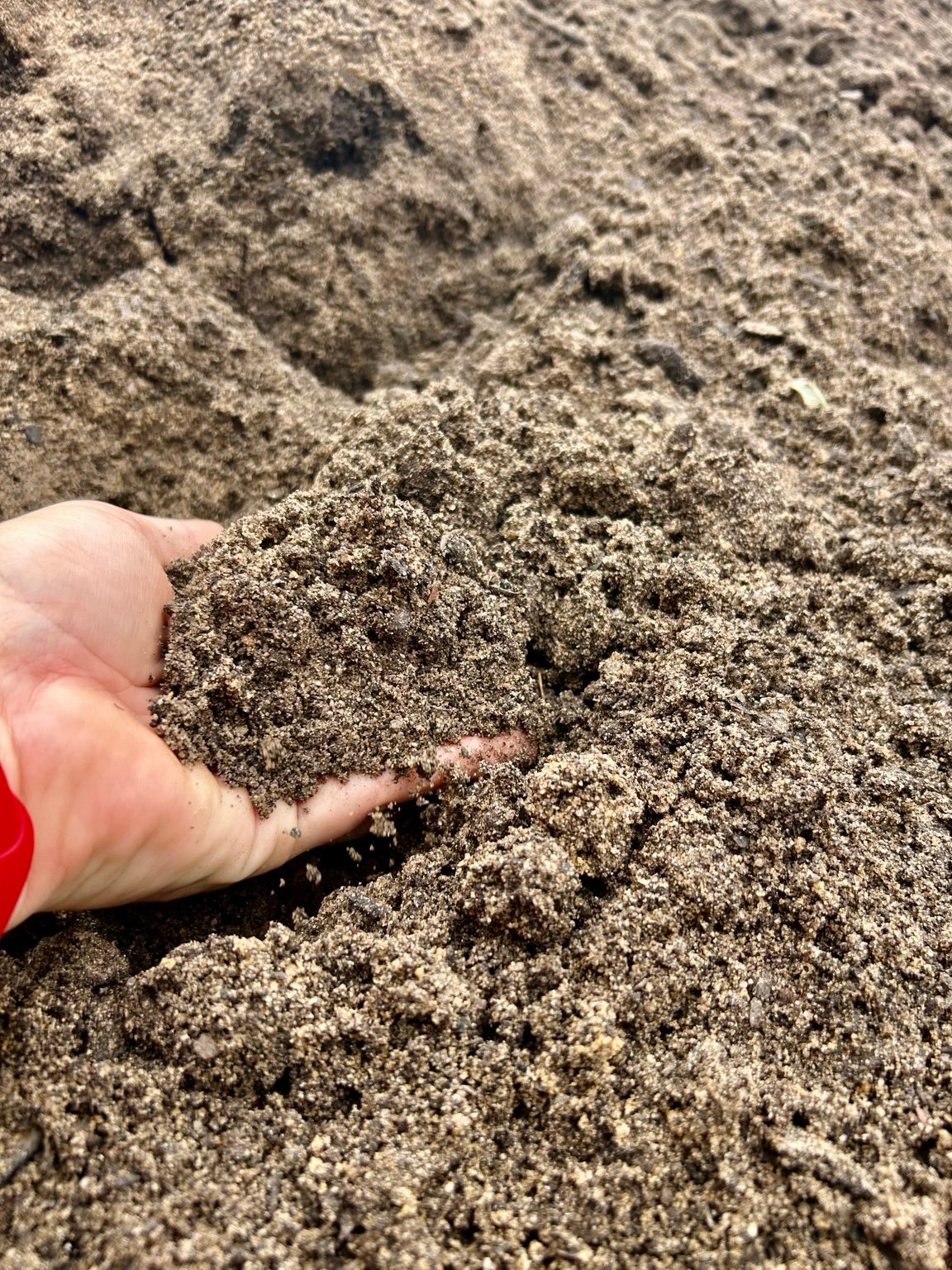 You Grow Girl material