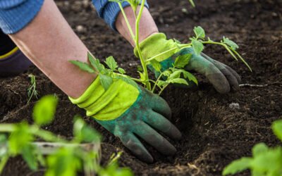 Celebrating Earth Day with G.L. Williams & Daughter Trucking – Partnering for a Greener Future