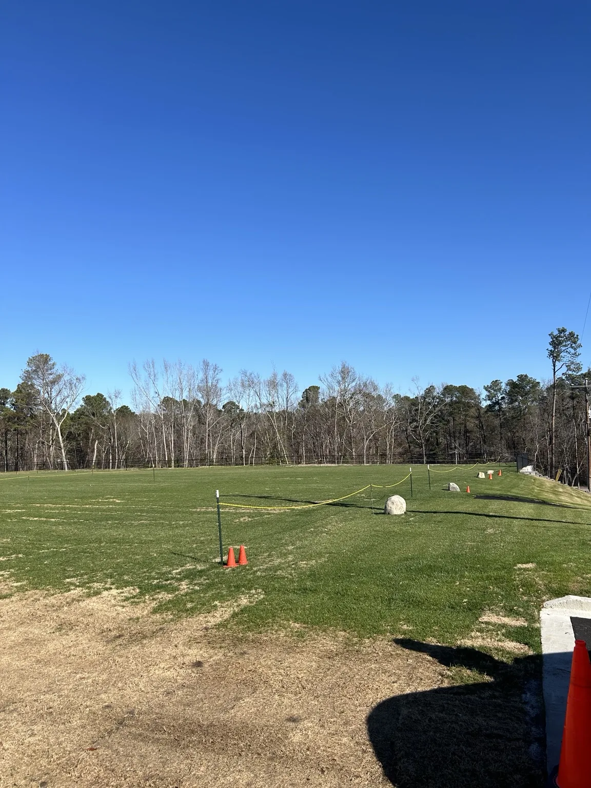 Grass establishing on the completed project area on January 2 2025