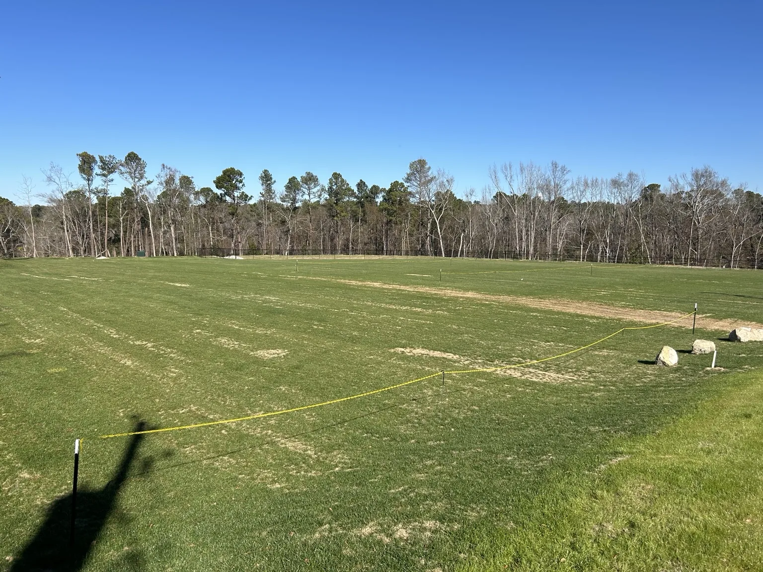 Grass establishing over a parking and activity area